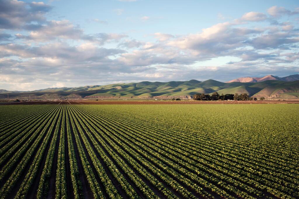 Environmental and Sustainable Carbon