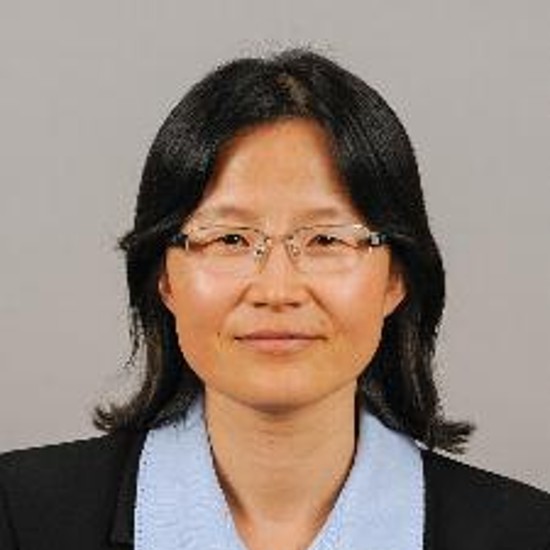 Dr. Jinpint Sun