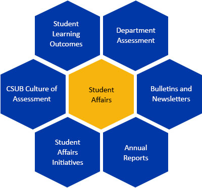 Student Affairs honeycomb