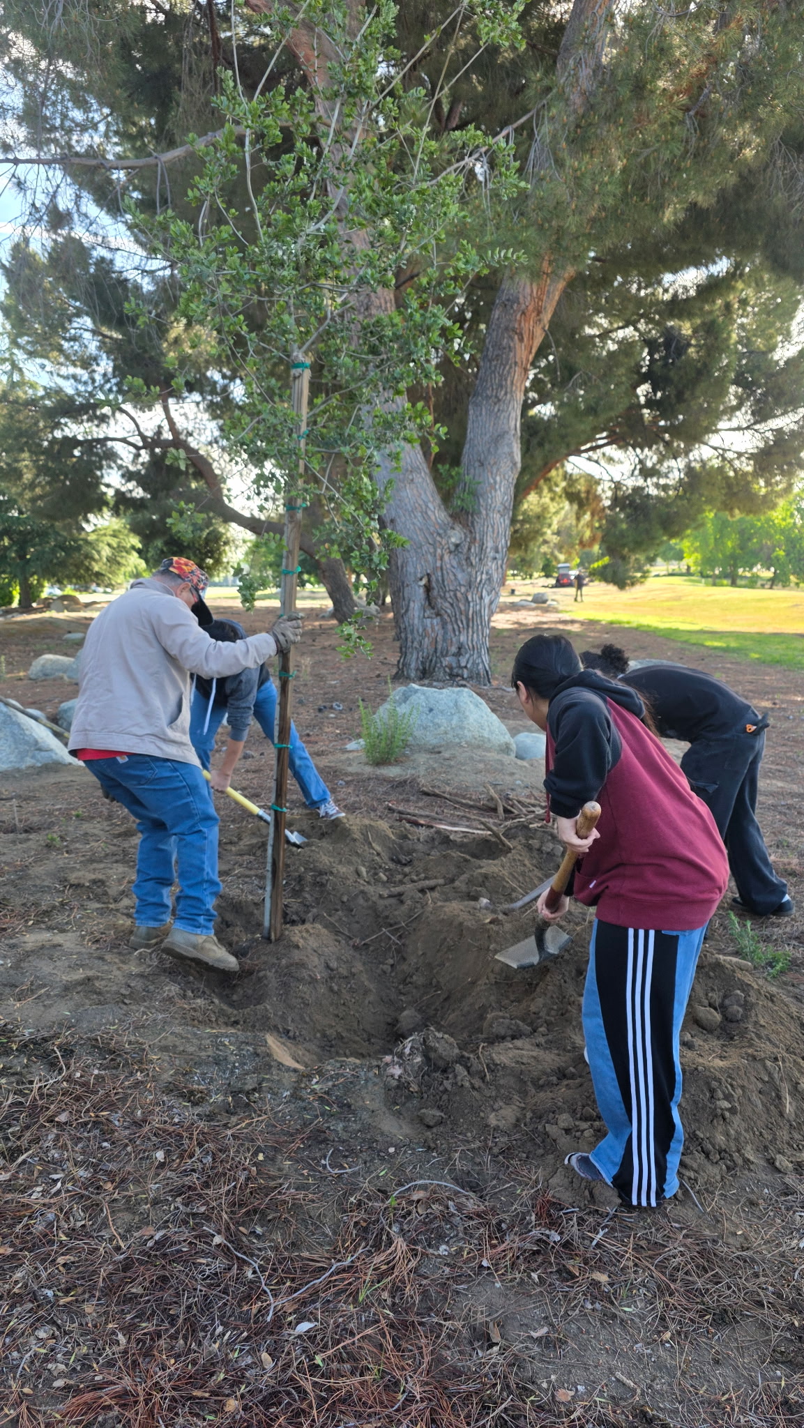 Students Planting Tree 3