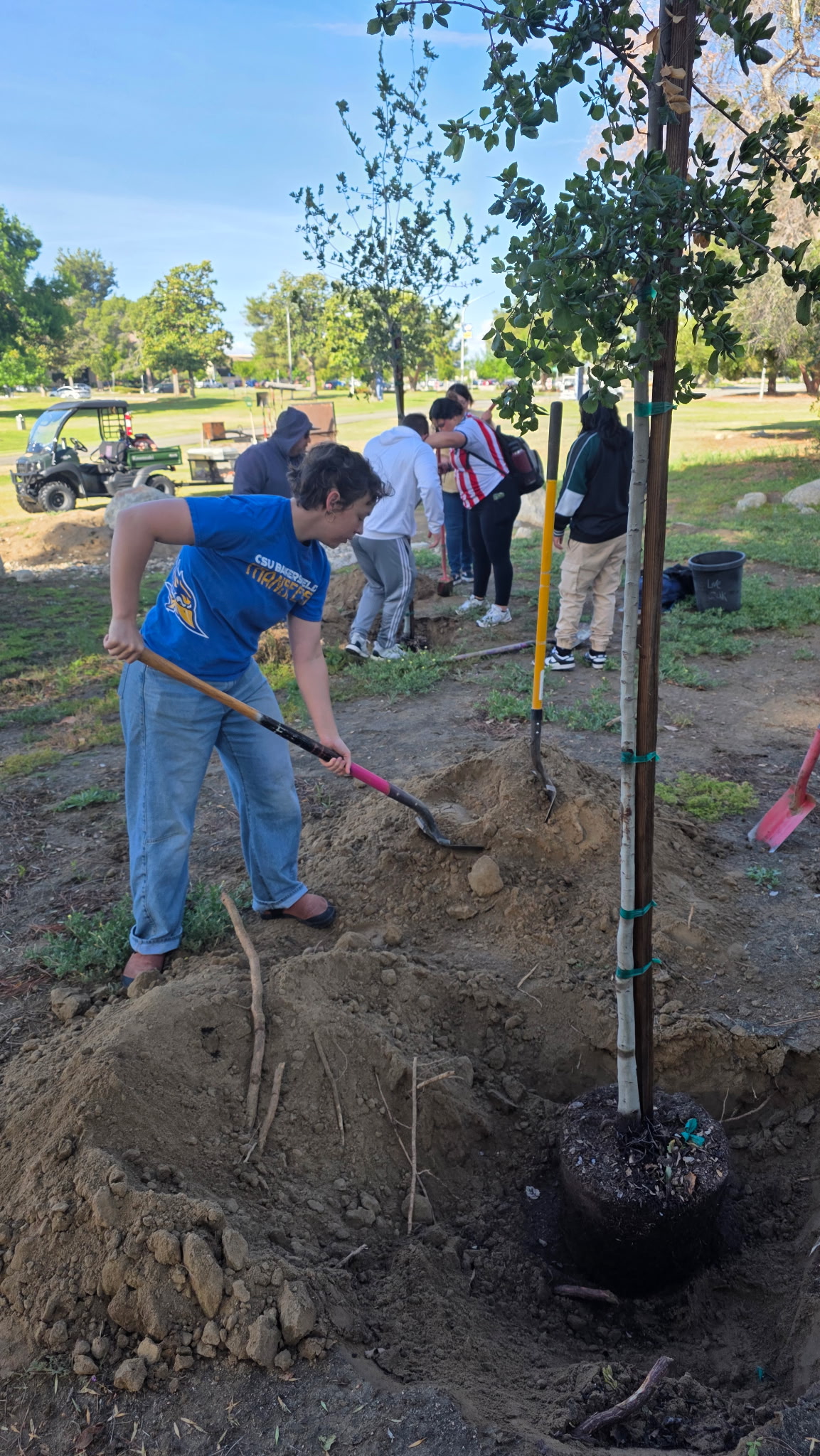 Students Planting Tree 4