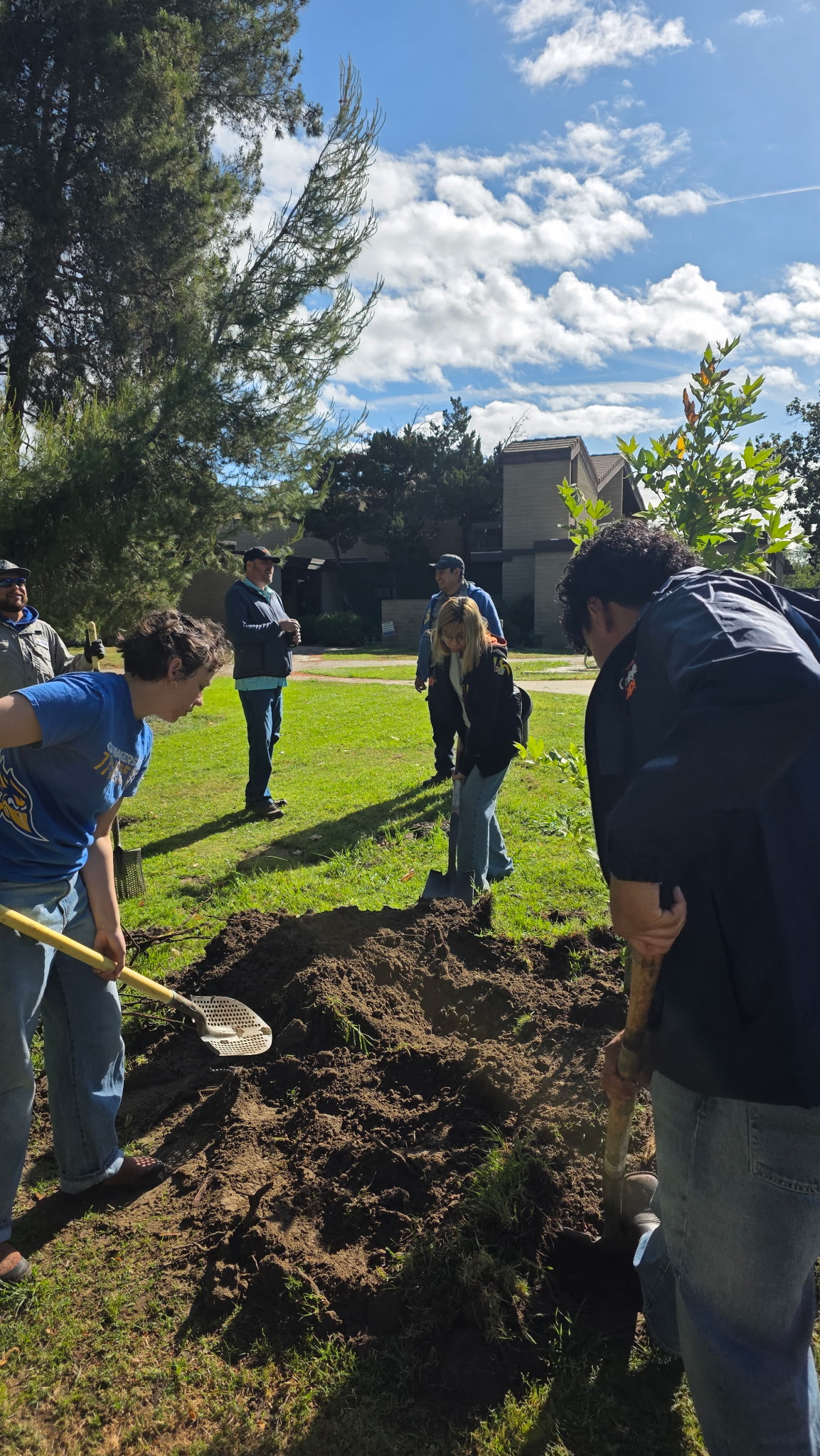 Students Planting Tree 5